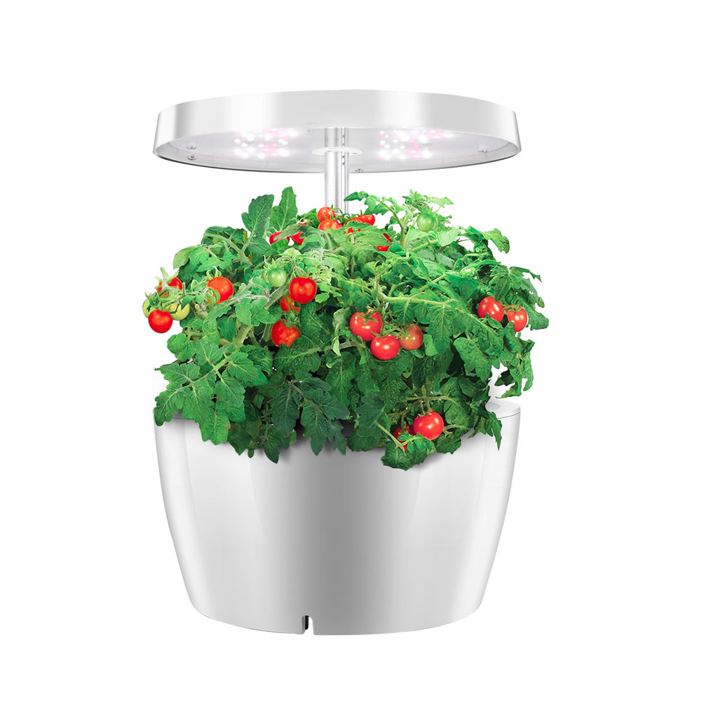 Plant growth light