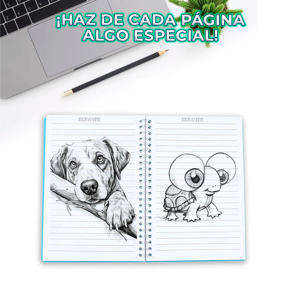 Korean A5 Size Lined Notebook Organizer 5 Separations Spiral Binding Printed Style for Gift Packed in Box