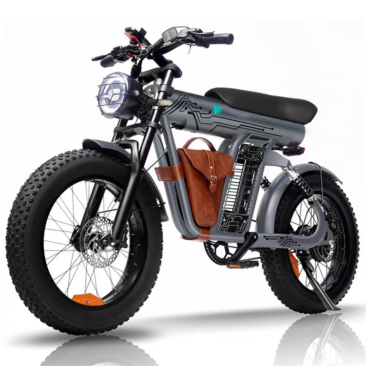 High Powered E Bike 48V 1200W Fat Tire Electric Mountain Bike for Beach Snow Off-road Adventures