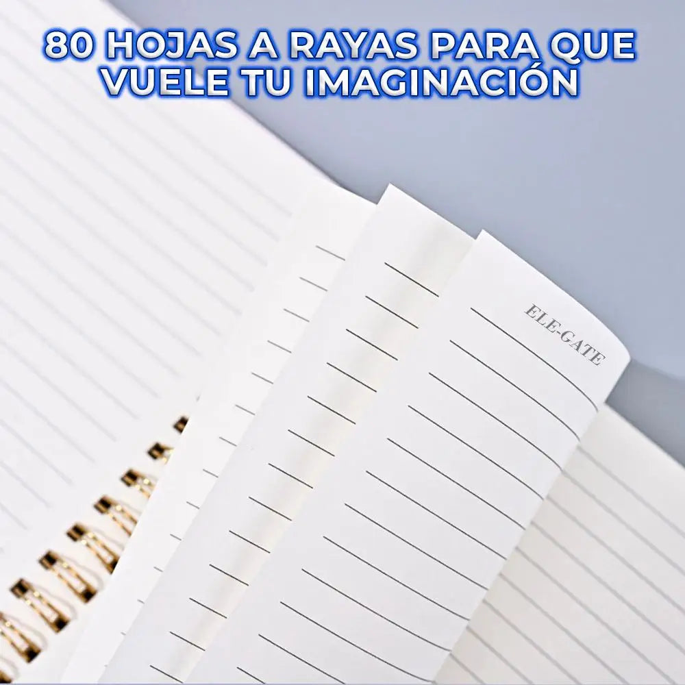 ELEGATE Korean A5 Size Plastic Blue Lined Notebook Organizer with 5 Separations