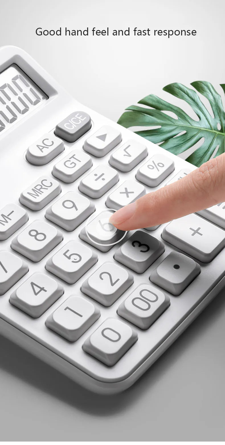 Simple Business Calculator 12-digit Display Large Screen Dual Power Supply Calculator Student Accounting Desktop Calculator