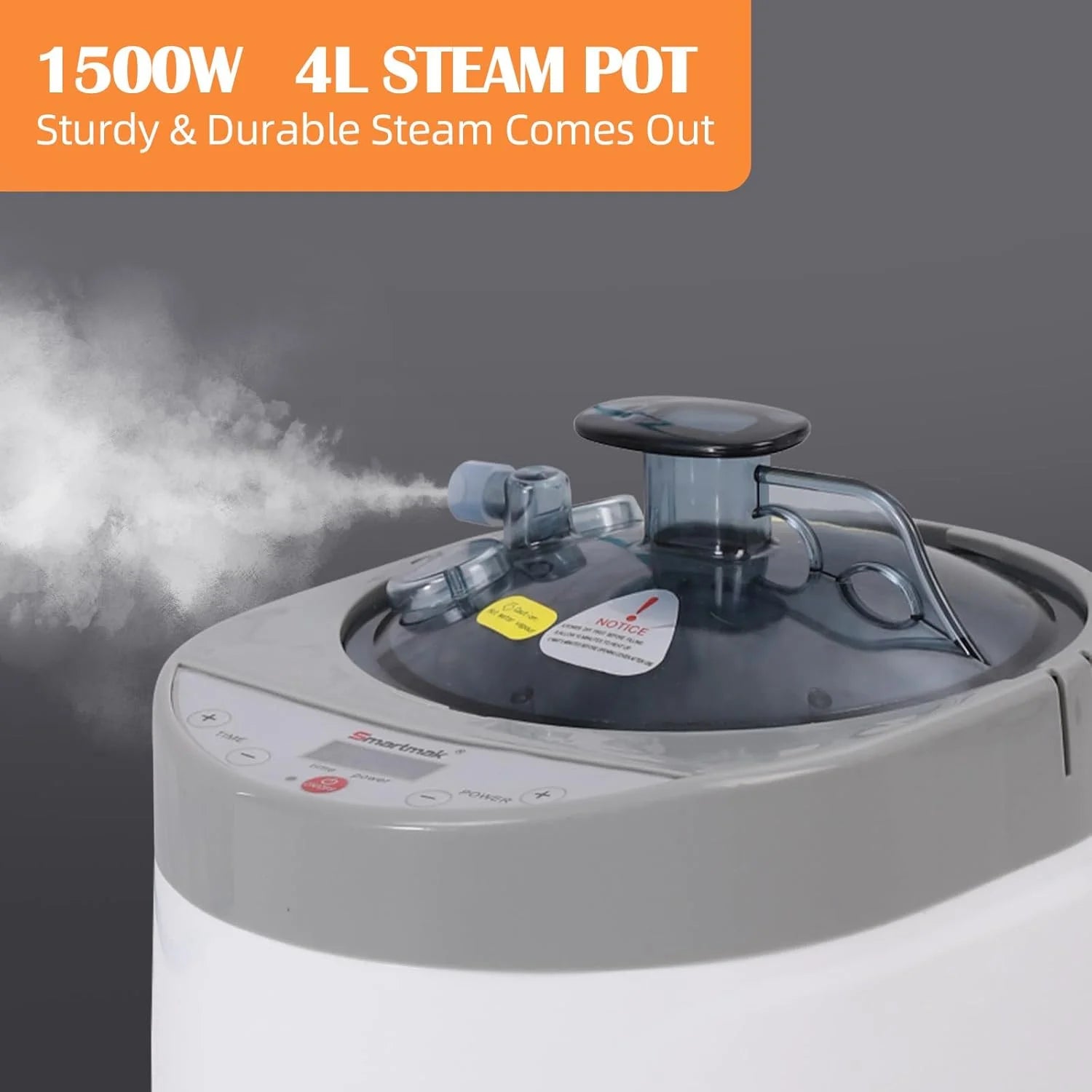 Smartmak Sauna Generator Home Steamer 4L Steam Generator for Sauna Accessories
