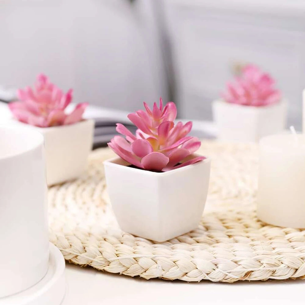 5pcs Artificial Mini Succulent Potted Plants Decor Home Decor for Living Room Bedroom Bathroom Valentine's Day Wedding