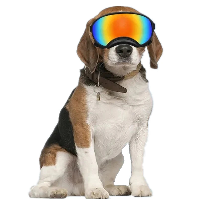 Wholesale 3 Sizes Dog Sunglasses Pet Eyes Protection Goggles with Adjustable Strap UV Protection Dog Goggles
