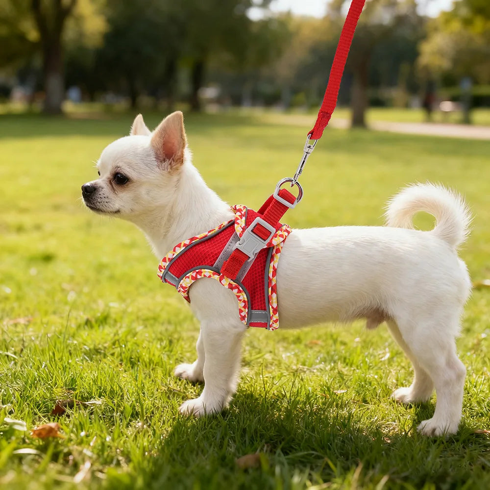 New Arrivals Cat Dog Harness and Leash Set Reflective Breathable Pet Vest Harnesses for Small Dogs Cats Outdoor Walking Puppy