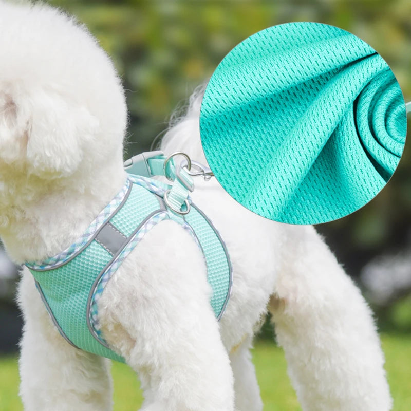 New Arrivals Cat Dog Harness and Leash Set Reflective Breathable Pet Vest Harnesses for Small Dogs Cats Outdoor Walking Puppy