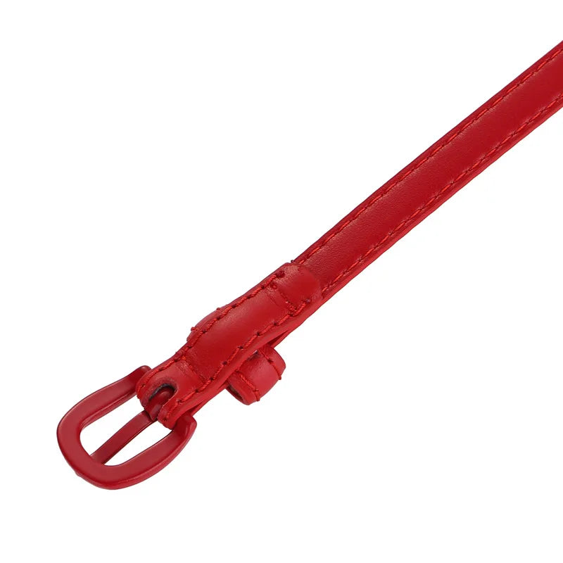 Fashionable Women's Thin Leather Belt Skinny Genuine Leather Belt with Pin Buckle for Jeans and Dresses
