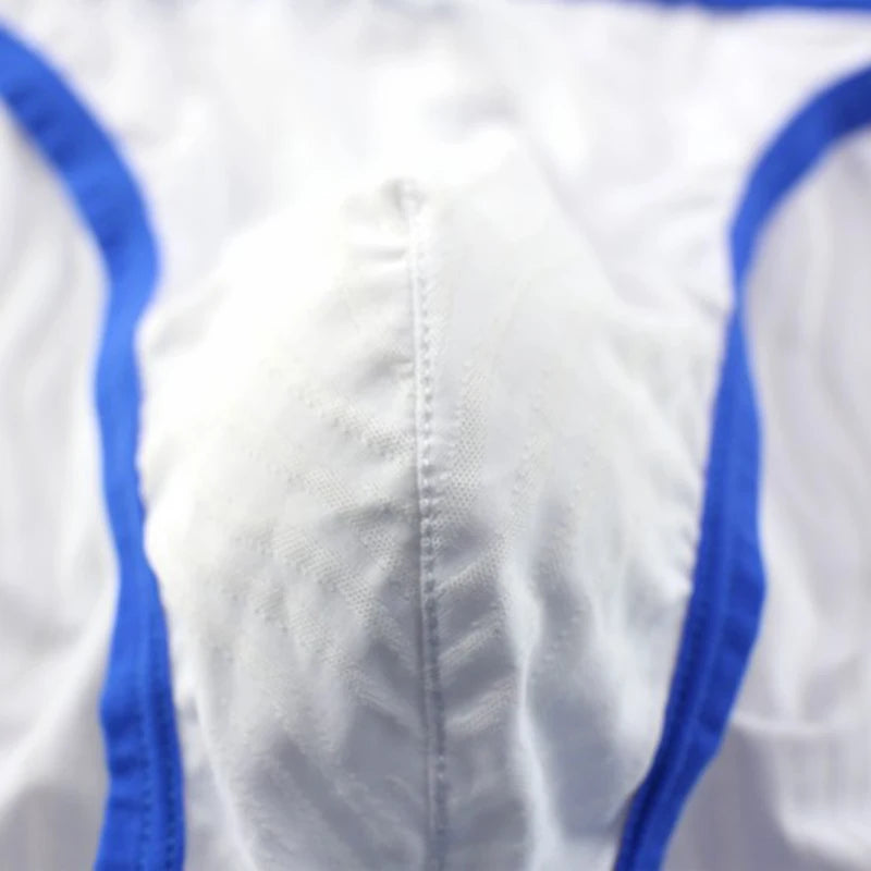 New Arrivals Striped Underpants Mens Mesh Underwear Briefs Low Rise Transparent Breathable Panties Hombre Briefs