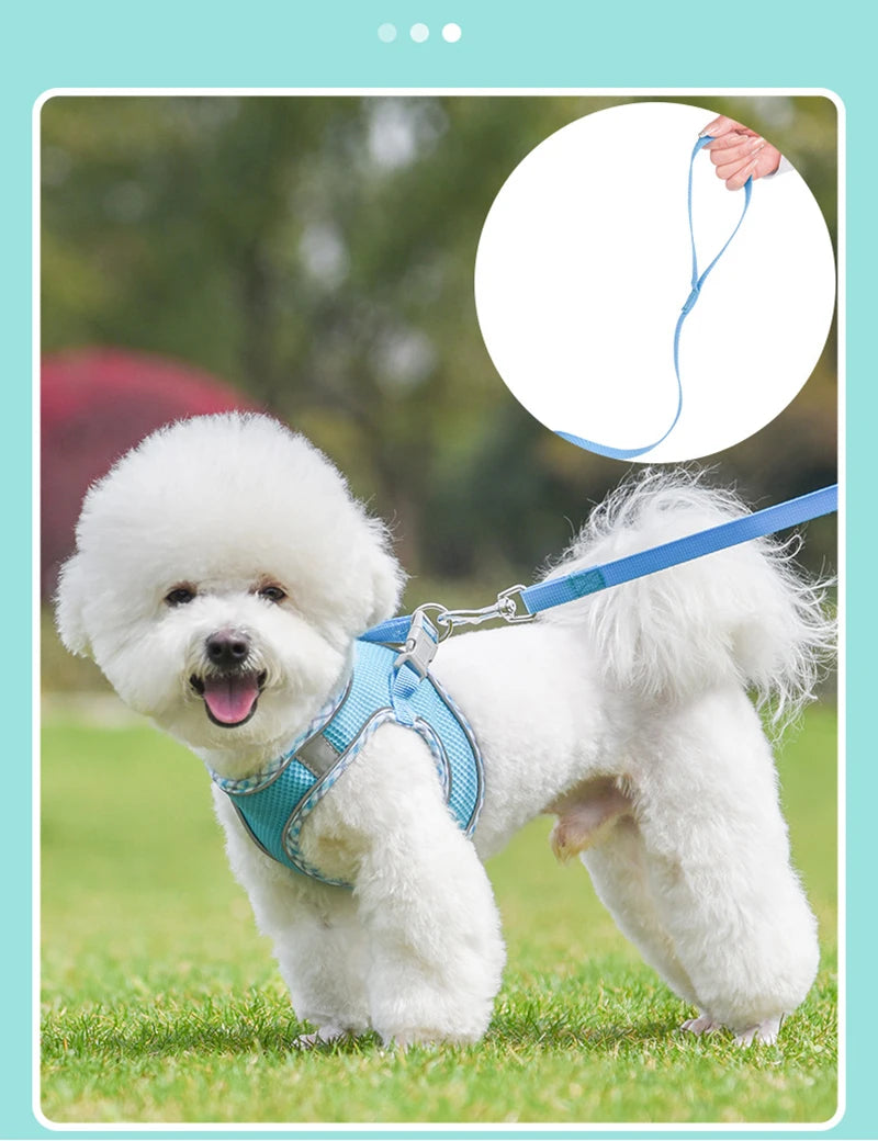 New Arrivals Cat Dog Harness and Leash Set Reflective Breathable Pet Vest Harnesses for Small Dogs Cats Outdoor Walking Puppy